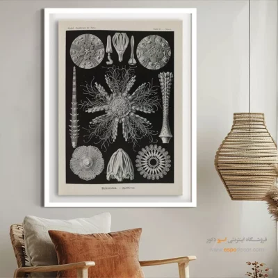 تابلو جانوران دریایی - اسپو دکور