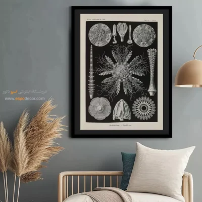 تابلو جانوران دریایی - اسپو دکور