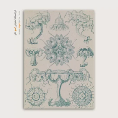 تابلو جانوران دریایی - اسپو دکور