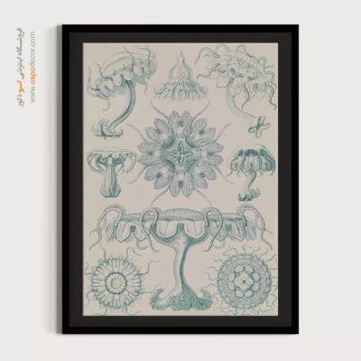 تابلو جانوران دریایی - اسپو دکور