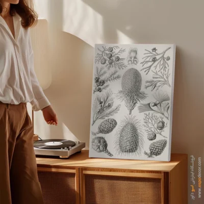 تابلو جانوران دریایی - اسپو دکور