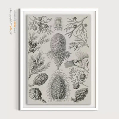 تابلو جانوران دریایی - اسپو دکور