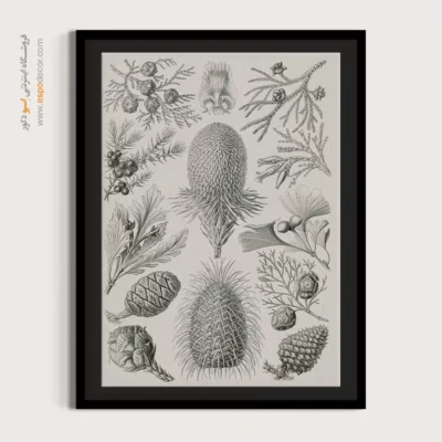 تابلو جانوران دریایی - اسپو دکور