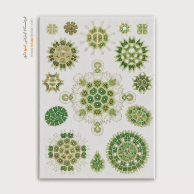 تابلو جانوران دریایی - اسپو دکور