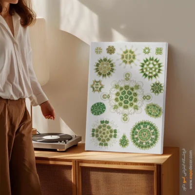 تابلو جانوران دریایی - اسپو دکور