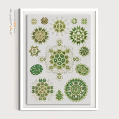 تابلو جانوران دریایی - اسپو دکور