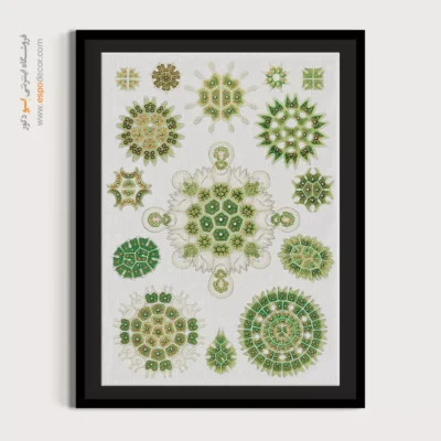 تابلو جانوران دریایی - اسپو دکور