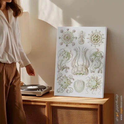 تابلو جانوران دریایی - اسپو دکور