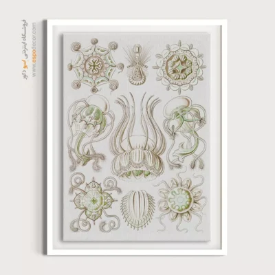 تابلو جانوران دریایی - اسپو دکور