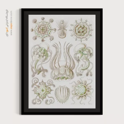 تابلو جانوران دریایی - اسپو دکور