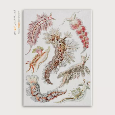 تابلو جانوران دریایی - اسپو دکور