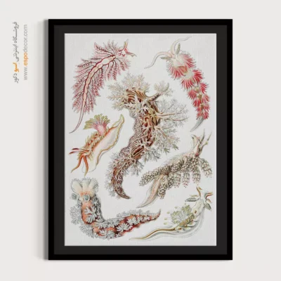 تابلو جانوران دریایی - اسپو دکور