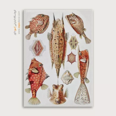 تابلو جانوران دریایی - اسپو دکور