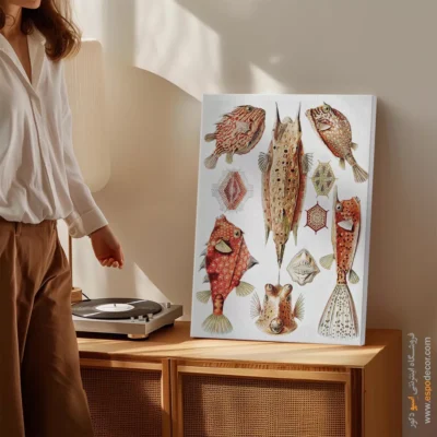 تابلو جانوران دریایی - اسپو دکور