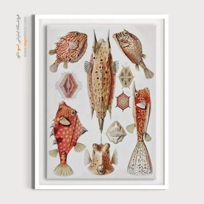 تابلو جانوران دریایی - اسپو دکور
