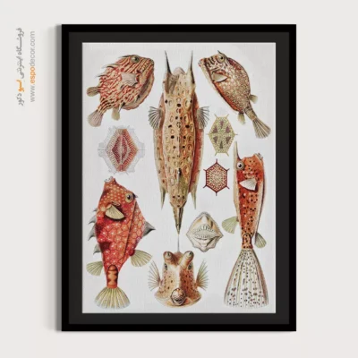 تابلو جانوران دریایی - اسپو دکور