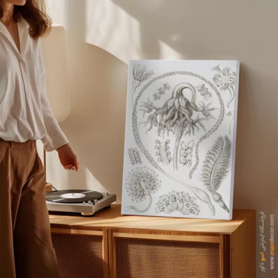 تابلو جانوران دریایی - اسپو دکور