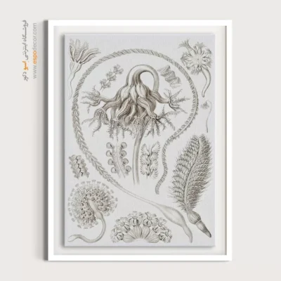 تابلو جانوران دریایی - اسپو دکور