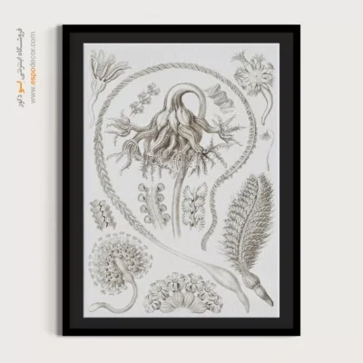 تابلو جانوران دریایی - اسپو دکور