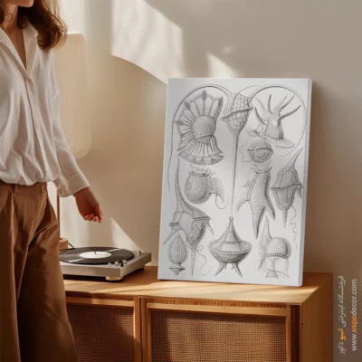 تابلو جانوران دریایی - اسپو دکور