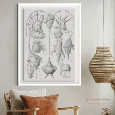 تابلو جانوران دریایی - اسپو دکور