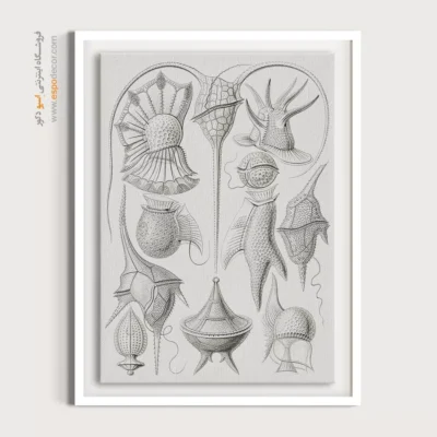 تابلو جانوران دریایی - اسپو دکور