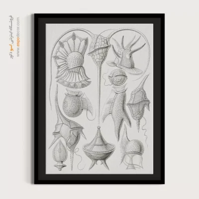 تابلو جانوران دریایی - اسپو دکور