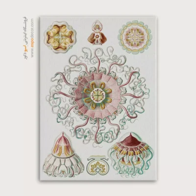 تابلو جانوران دریایی - اسپو دکور