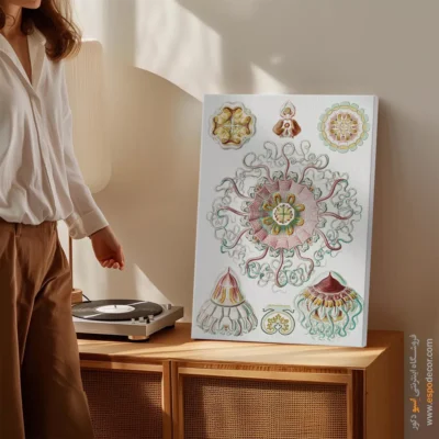 تابلو جانوران دریایی - اسپو دکور