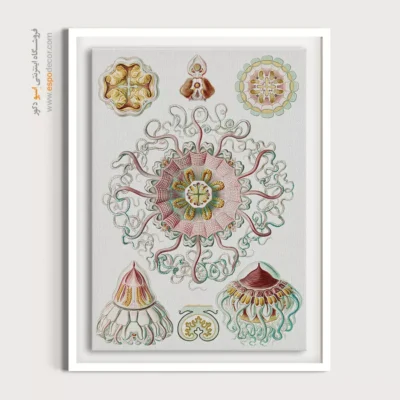 تابلو جانوران دریایی - اسپو دکور