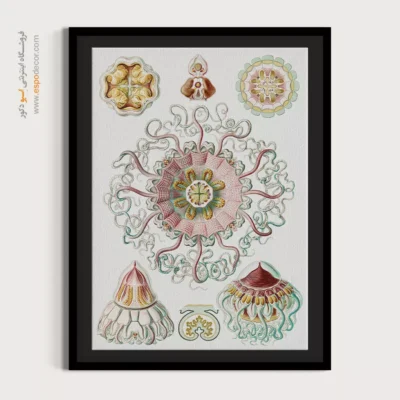 تابلو جانوران دریایی - اسپو دکور