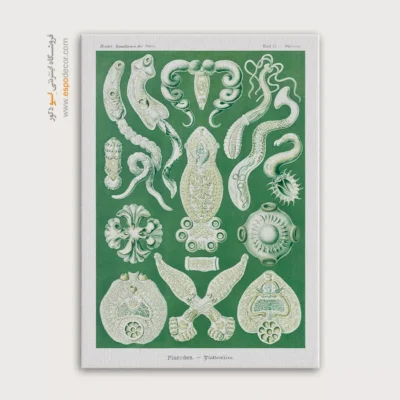 تابلو جانوران دریایی - اسپو دکور