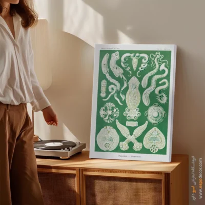 تابلو جانوران دریایی - اسپو دکور