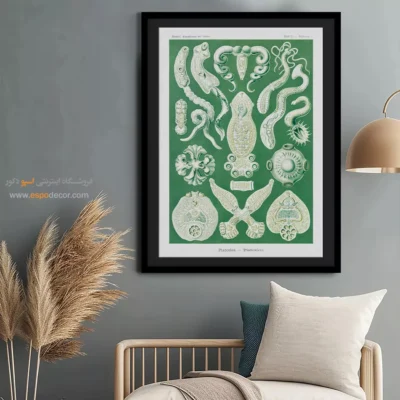 تابلو جانوران دریایی - اسپو دکور