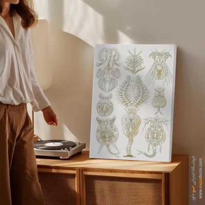 تابلو جانوران دریایی - اسپو دکور