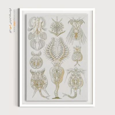 تابلو جانوران دریایی - اسپو دکور