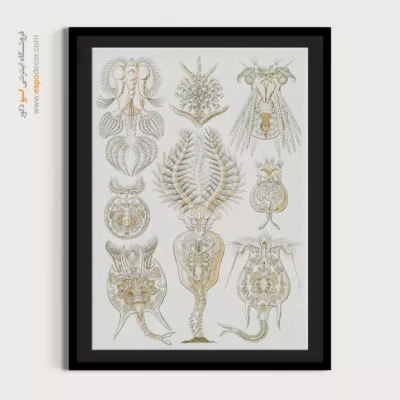 تابلو جانوران دریایی - اسپو دکور