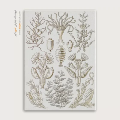 تابلو جانوران دریایی - اسپو دکور