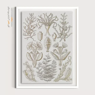 تابلو جانوران دریایی - اسپو دکور