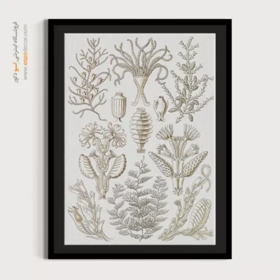 تابلو جانوران دریایی - اسپو دکور