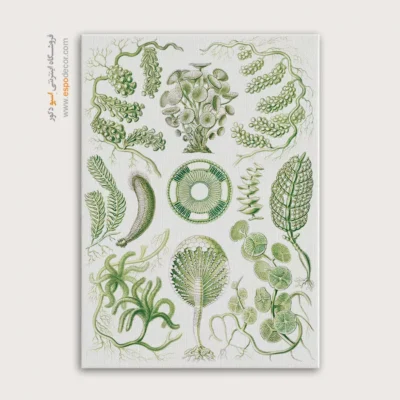 تابلو جانوران دریایی - اسپو دکور