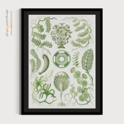 تابلو جانوران دریایی - اسپو دکور