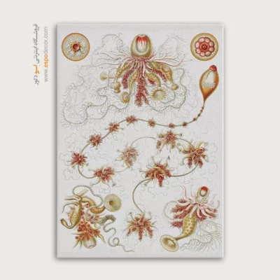 تابلو جانوران دریایی - اسپو دکور