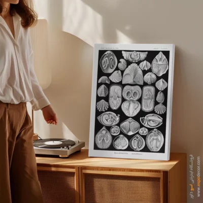 تابلو جانوران دریایی - اسپو دکور