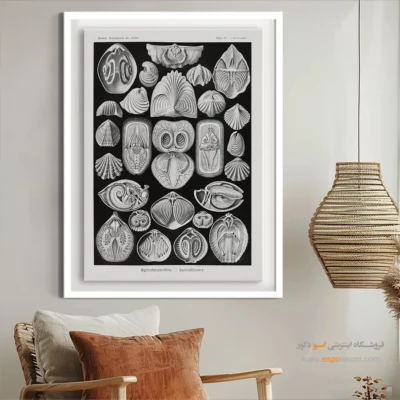 تابلو جانوران دریایی - اسپو دکور