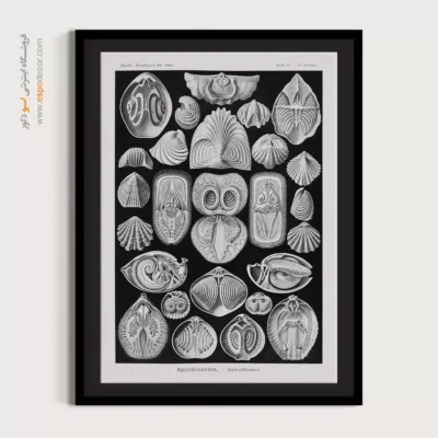 تابلو جانوران دریایی - اسپو دکور