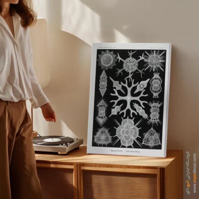 تابلو جانوران دریایی - اسپو دکور