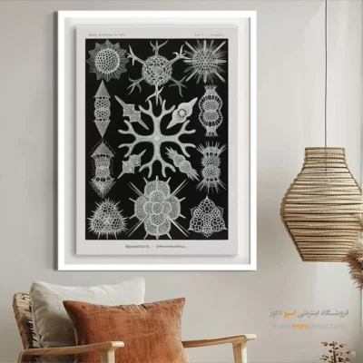 تابلو جانوران دریایی - اسپو دکور