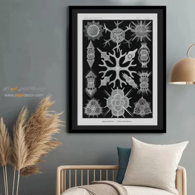 تابلو جانوران دریایی - اسپو دکور