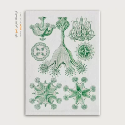 تابلو جانوران دریایی - اسپو دکور